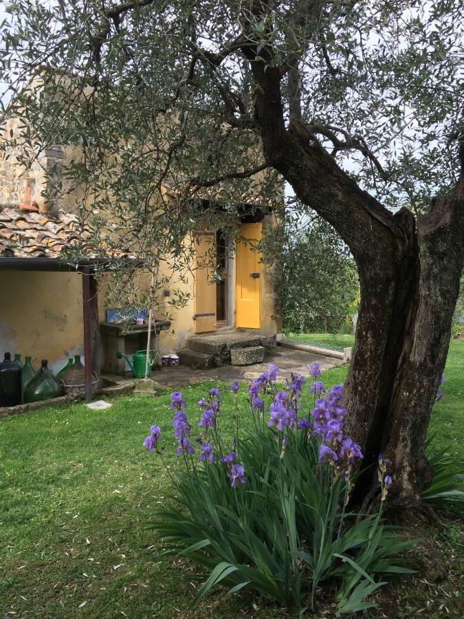 Settignano Tuscany Homes Exteriör bild